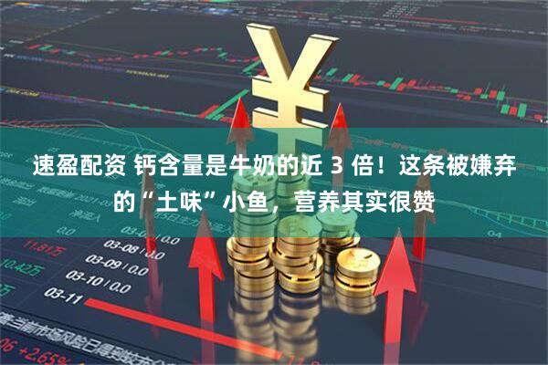 速盈配资 钙含量是牛奶的近 3 倍！这条被嫌弃的“土味”小鱼，营养其实很赞