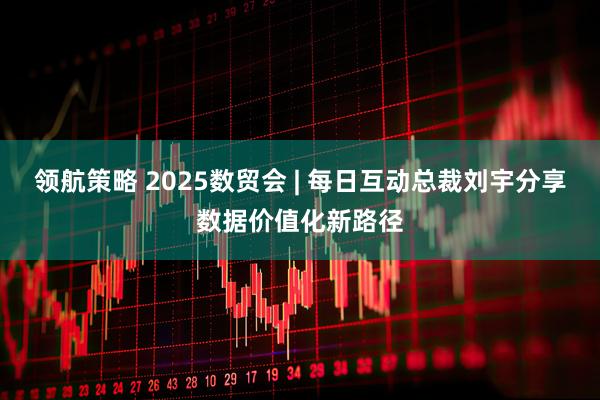 领航策略 2025数贸会 | 每日互动总裁刘宇分享数据价值化新路径